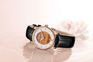 叶落回首，光影定格时光的温柔